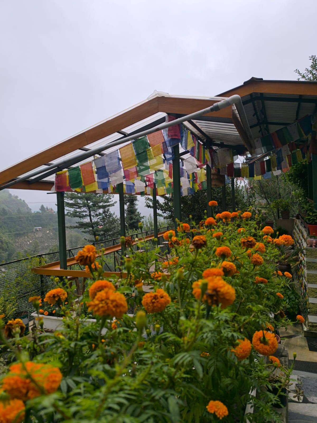 The view of the launch ridge from a window seat at the Gliders café